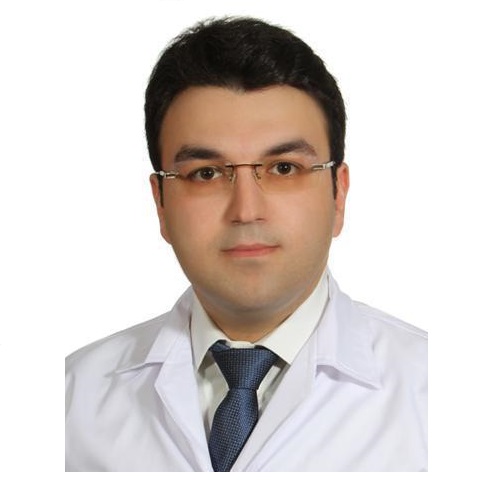 Mohammad Esmaeelinejad